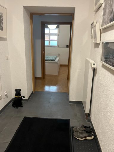 Eingangsbereich mit Blick in die Wohnung (Schlafzimmer)